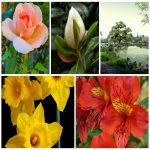 Dịch vụ xin giấy phép lữ hành quốc tế Lào Cai 6 Muốn dịch vụ xin giấy phép lữ hành quốc tế Lào Cai