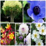 Dịch vụ xin giấy phép lữ hành quốc tế Nghệ An 6 Muốn dịch vụ xin giấy phép lữ hành quốc tế Nghệ An