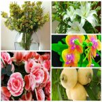 Dịch vụ xin giấy phép lữ hành quốc tế Phú Quốc 6 Muốn dịch vụ xin giấy phép lữ hành quốc tế Phú Quốc