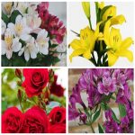 Dịch vụ xin giấy phép lữ hành quốc tế Quận 9 6 Muốn dịch vụ xin giấy phép lữ hành quốc tế Quận 9