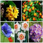 Dịch vụ xin giấy phép lữ hành quốc tế Quận Ninh Kiều 6 Muốn dịch vụ xin giấy phép lữ hành quốc tế Quận Ninh Kiều