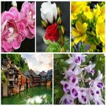Muốn dịch vụ xin giấy phép lữ hành quốc tế Thái Nguyên