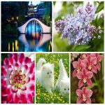 Dịch vụ xin giấy phép lữ hành quốc tế Thành phố Hải Phòng 6 Muốn dịch vụ xin giấy phép LHQT Thành Phố Hải Phòng