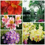 Dịch vụ xin giấy phép lữ hành quốc tế Thừa Thiên Huế 6 Muốn dịch vụ xin giấy phép lữ hành quốc tế Thừa Thiên Huế
