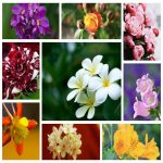 Thủ tục tạm ngừng hoạt động chi nhánh tại Bình Thuận 6 Cần thủ tục tạm ngừng hoạt động chi nhánh tại Bình Thuận