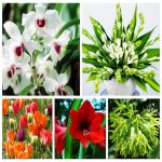 Cần thủ tục tạm ngừng hoạt động chi nhánh tại Huyện Bình Chánh