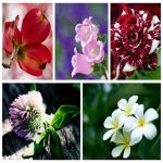 Thủ tục tạm ngừng hoạt động chi nhánh tại Nha Trang 6 Cần thủ tục tạm ngừng hoạt động chi nhánh tại Nha Trang