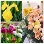 Thủ tục tạm ngừng hoạt động chi nhánh tại Thành Phố Cần Thơ 7 Cần thủ tục tạm ngừng hoạt động chi nhánh tại Thành Phố Cần Thơ