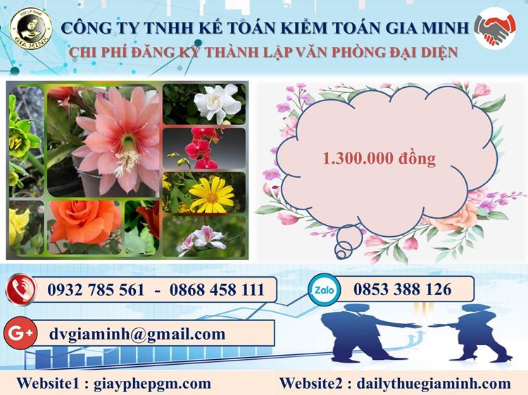 Đăng ký thành lập văn phòng đại diện tại Hoà Bình 5 Chi phí thành lập văn phòng đại diện tại Hoà Bình