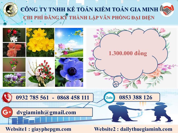 Chi phí thành lập VPĐD tại Huyện Vĩnh Thạnh