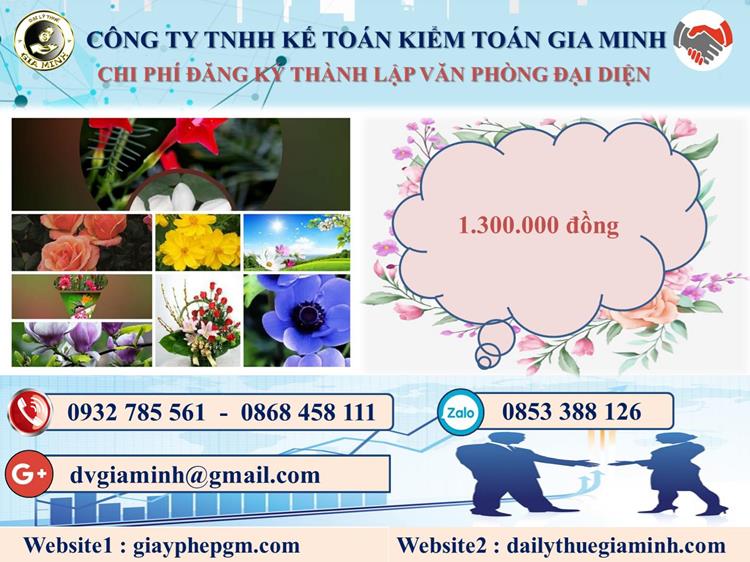 Chi phí thành lập văn phòng đại diện tại Quận Bình Thuỷ
