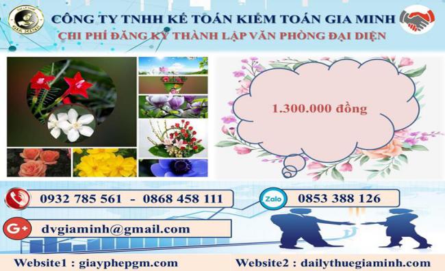 Chi phí thành lập văn phòng đại diện tại Quận Cái Răng