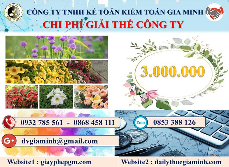 Chi phí giải thể công ty giá rẻ tại Hải Phòng