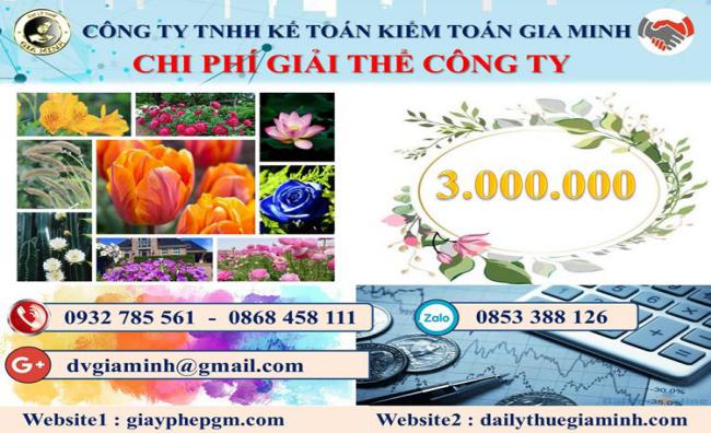 Dịch vụ giải thể công ty giá rẻ tại Kiên Giang 5 Chi phí giải thể công ty giá rẻ tại Kiên Giang
