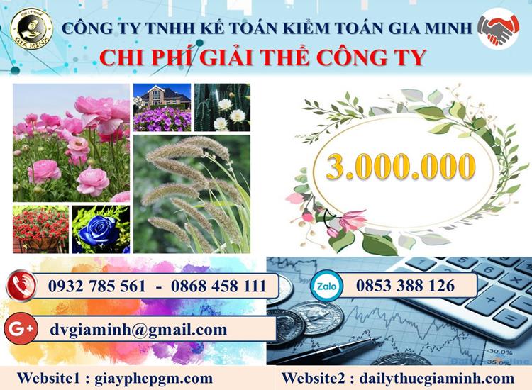 Chi phí giải thể công ty giá rẻ tại Thành phố Hải Phòng