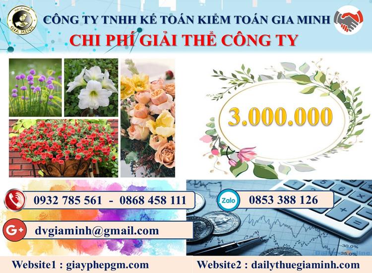 Chi phí giải thể công ty giá rẻ tại Vũng Tàu