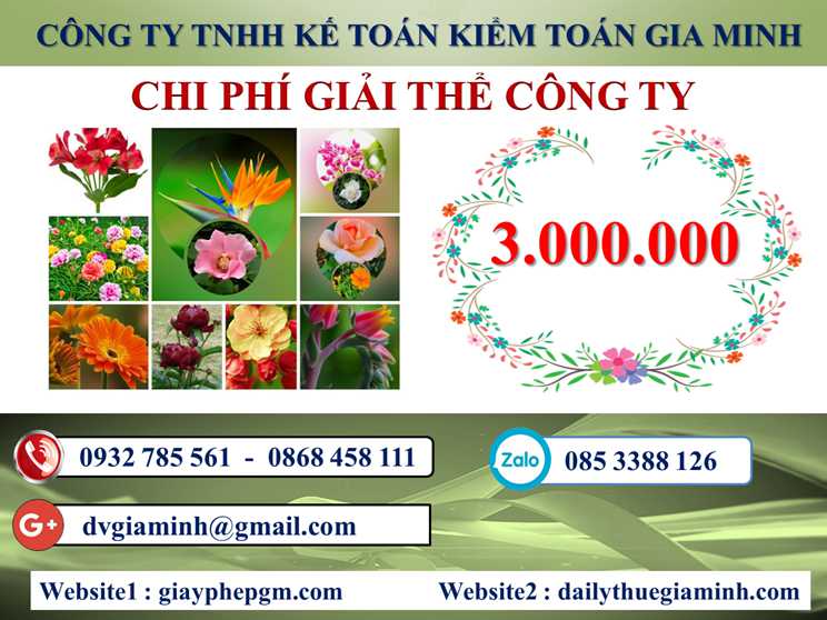 Chi phí giải thể doanh nghiệp tại Hòa Bình 