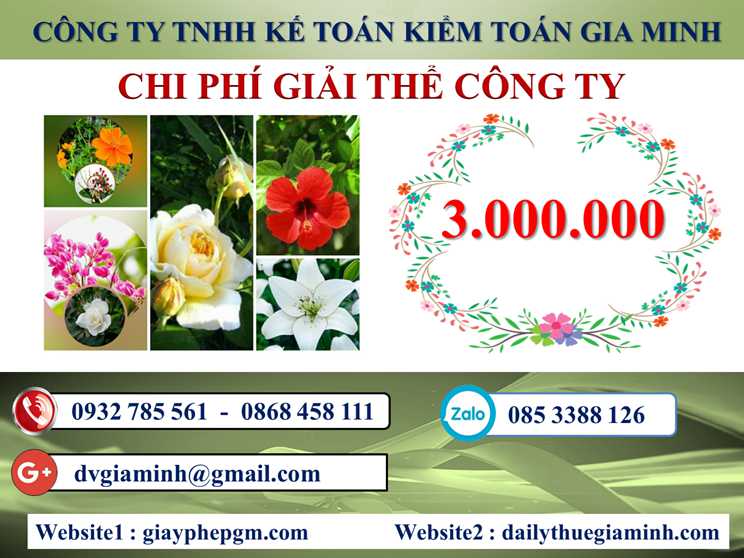 Dịch vụ giải thể công ty tại Huyện đảo Cát Hải - 3.000.000 5 Chi phí giải thể doanh nghiệp tại Huyện đảo Cát Hải