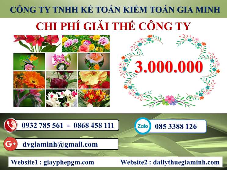 Dịch vụ giải thể công ty tại Ninh Bình - 3.000.000 5 Chi phí giải thể doanh nghiệp tại Ninh Bình