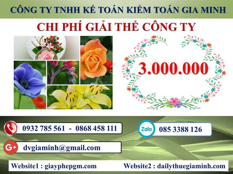 Dịch vụ giải thể công ty tại Trà Vinh - 3.000.000 5 Chi phí giải thể doanh nghiệp tại Trà Vinh