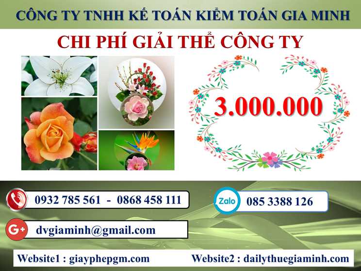 Chi phí giải thể doanh nghiệp tại Tuyên Quang 