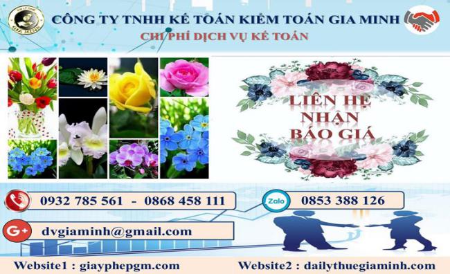 Chi phí kế toán tại Huyện đảo Cát Hải