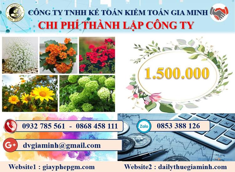 Dịch vụ thành lập doanh nghiệp ở Bình Định 5 Chi phí thành lập doanh nghiệp ở Bình Định
