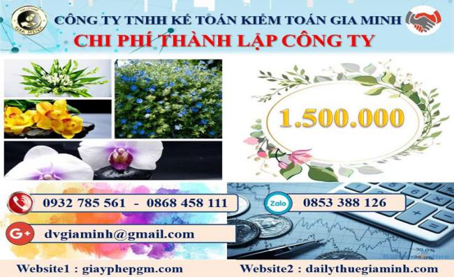Chi phí thành lập doanh nghiệp ở Huyện An Lão