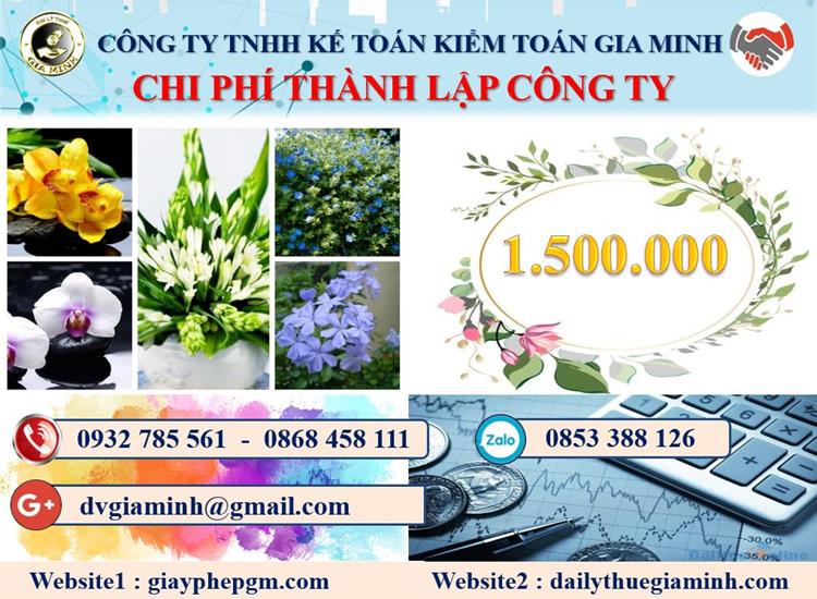 Chi phí thành lập doanh nghiệp ở Huyện đảo Bạch Long Vĩ
