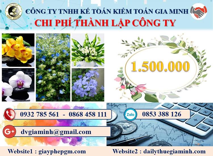 Chi phí thành lập doanh nghiệp ở Huyện đảo Cát Hải