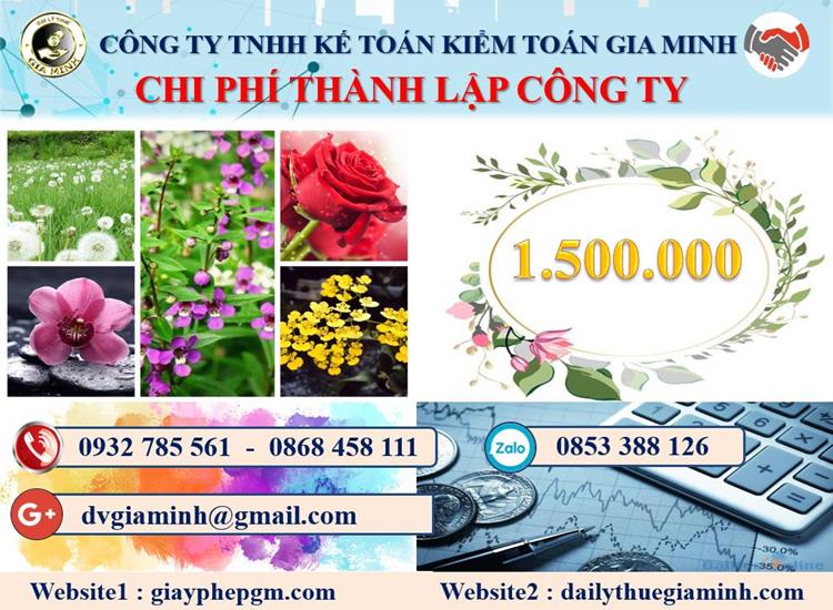 Chi phí thành lập doanh nghiệp ở Huyện Hoàng Sa