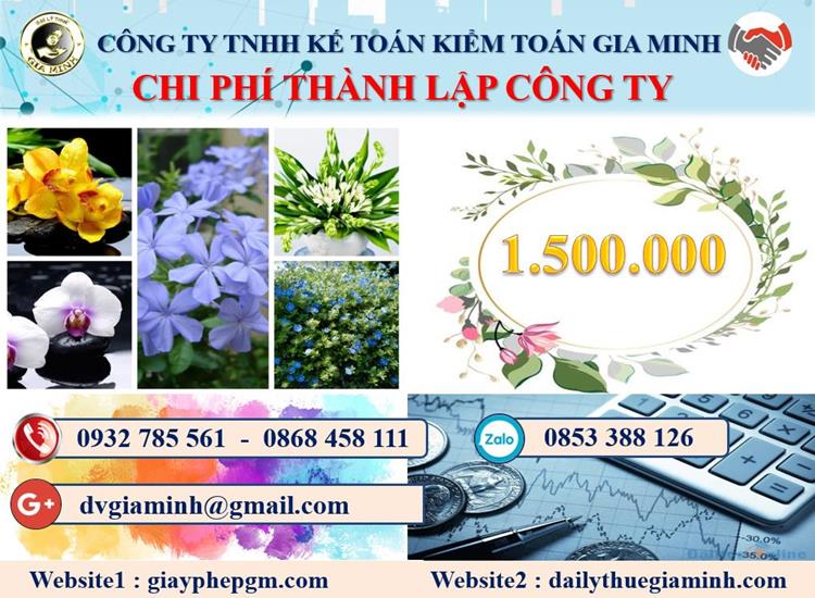 Chi phí thành lập doanh nghiệp ở Huyện Kiến Thụy