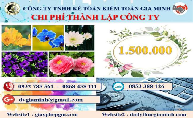 Chi phí thành lập doanh nghiệp ở Quận Liên Chiểu
