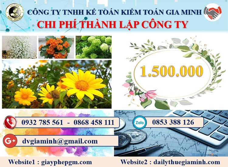 Dịch vụ thành lập doanh nghiệp ở Thành Phố Hồ Chí Minh 5 Chi phí thành lập doanh nghiệp ở Thành Phố Hồ Chí Minh