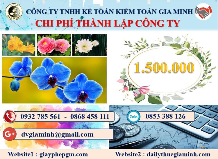 Chi phí thành lập doanh nghiệp ở Vũng Tàu