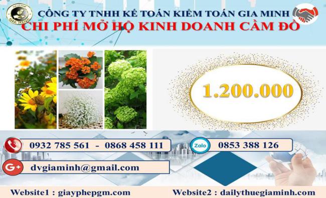 Mở hộ kinh doanh cầm đồ tại An Giang 2 Chi phí mở hộ kinh doanh cầm đồ tại An Giang
