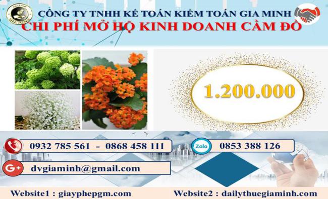 Mở hộ kinh doanh cầm đồ tại Thừa Thiên Huế 2 Chi phí mở hộ kinh doanh cầm đồ tại Thừa Thiên Huế
