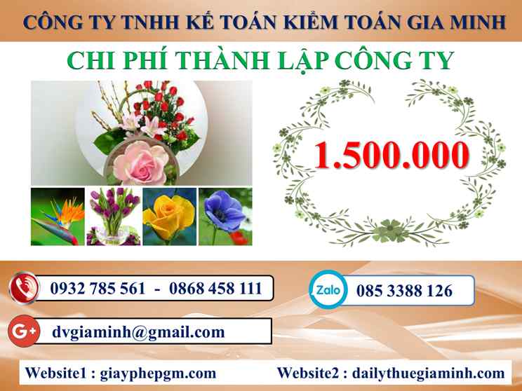 Chi phí thành lập doanh nghiệp âm nhạc tại Ninh Bình