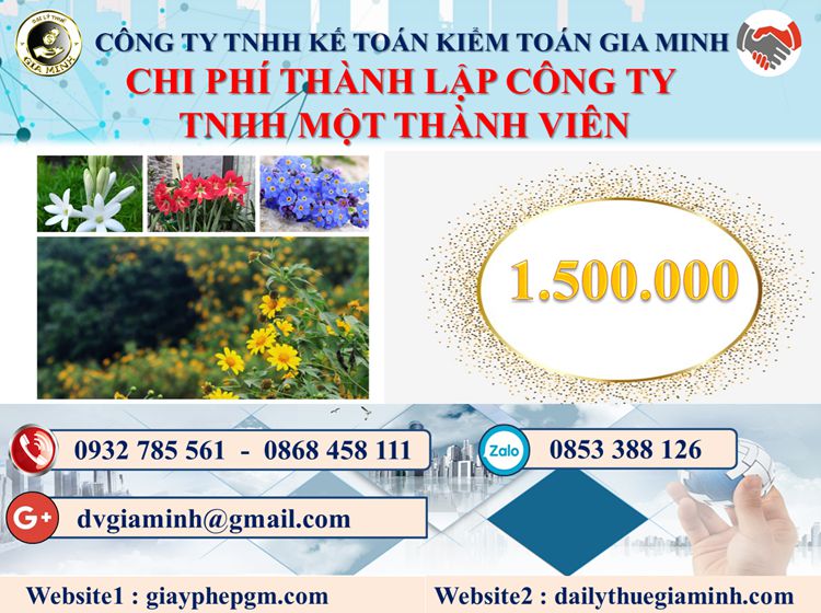 Chi phí thành lập doanh nghiệp TNHH MTV tại Hà Nội
