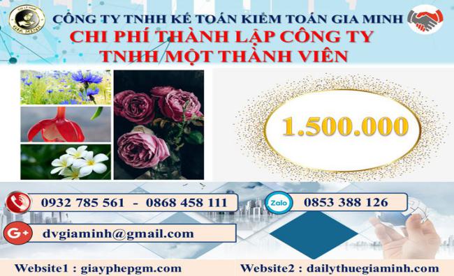 Chi phí thành lập doanh nghiệp TNHH MTV tại Hải Phòng