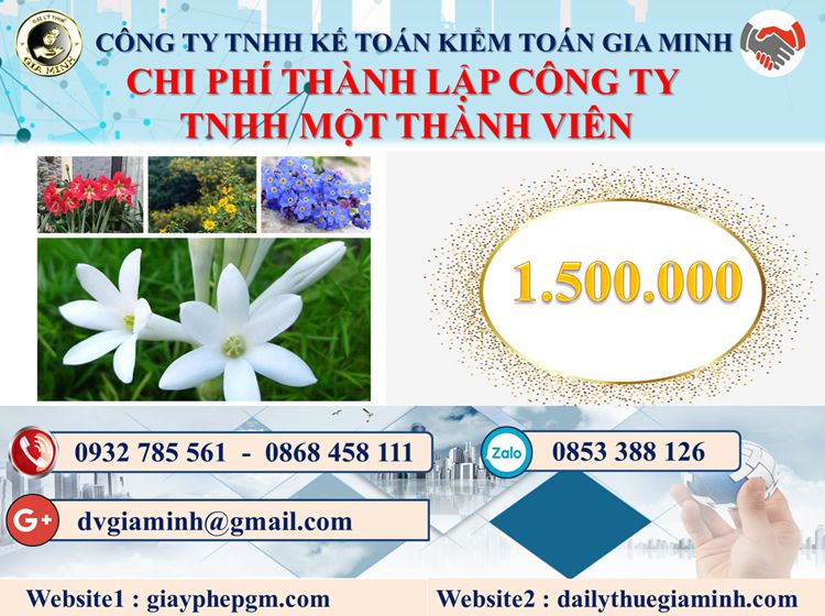 Chi phí thành lập doanh nghiệp TNHH MTV tại Huyện Ba Vì