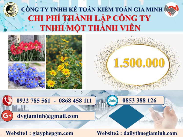 Chi phí thành lập doanh nghiệp TNHH MTV tại Huyện Bình Chánh