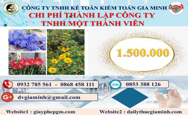 Chi phí thành lập doanh nghiệp TNHH MTV tại Huyện Cần Giờ