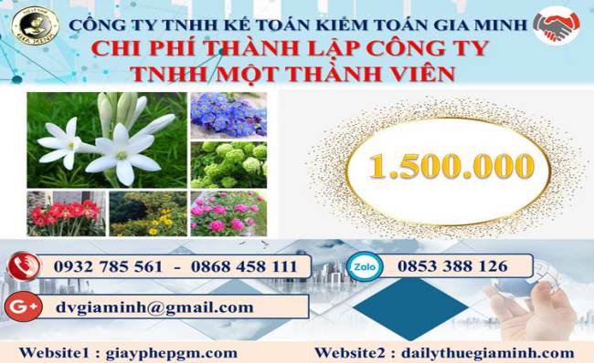 Chi phí thành lập doanh nghiệp TNHH MTV tại Huyện Thạch Thất