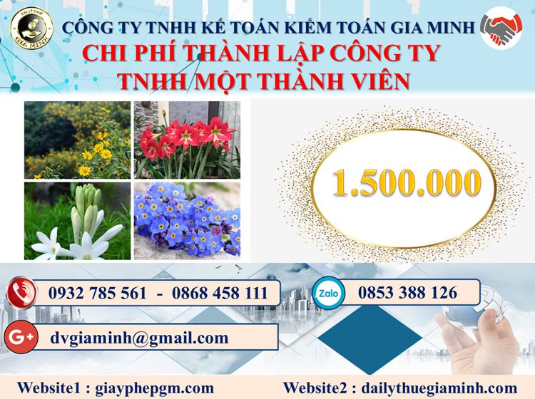 Chi phí thành lập doanh nghiệp TNHH MTV tại Quận 10