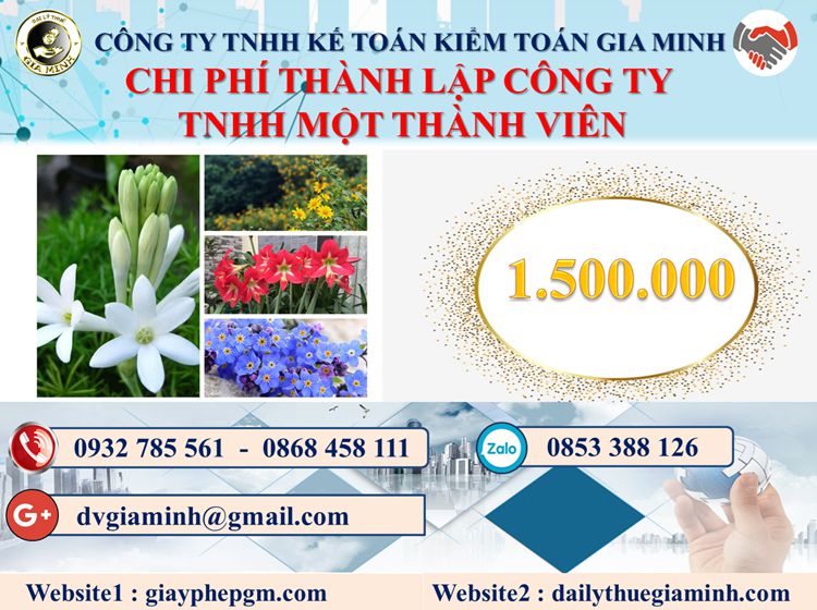 Chi phí thành lập doanh nghiệp TNHH MTV tại Quận 12