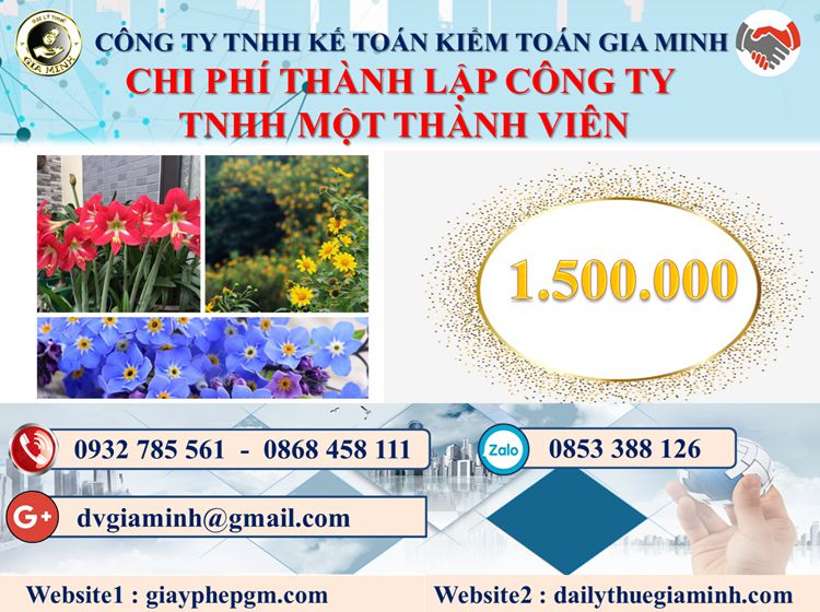 Chi phí thành lập doanh nghiệp TNHH MTV tại Quận 5