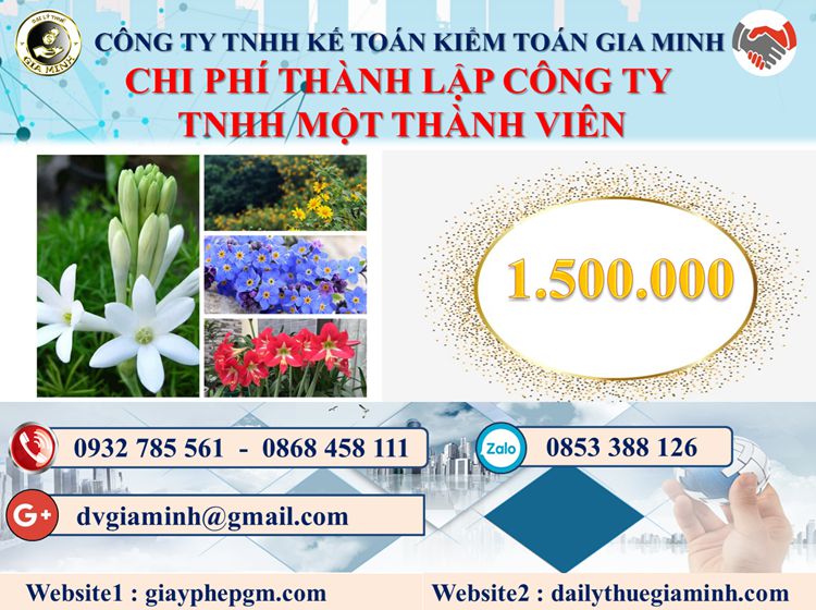 Chi phí thành lập doanh nghiệp TNHH MTV tại Quận Bình Tân