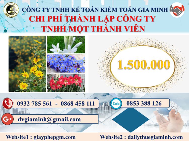 Thành lập công ty TNHH MTV tại Quận Bình Thạnh 5 Chi phí thành lập doanh nghiệp TNHH MTV tại Quận Bình Thạnh