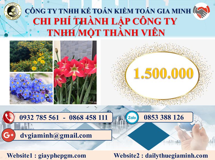 Chi phí thành lập doanh nghiệp TNHH MTV tại Quận Hải Châu